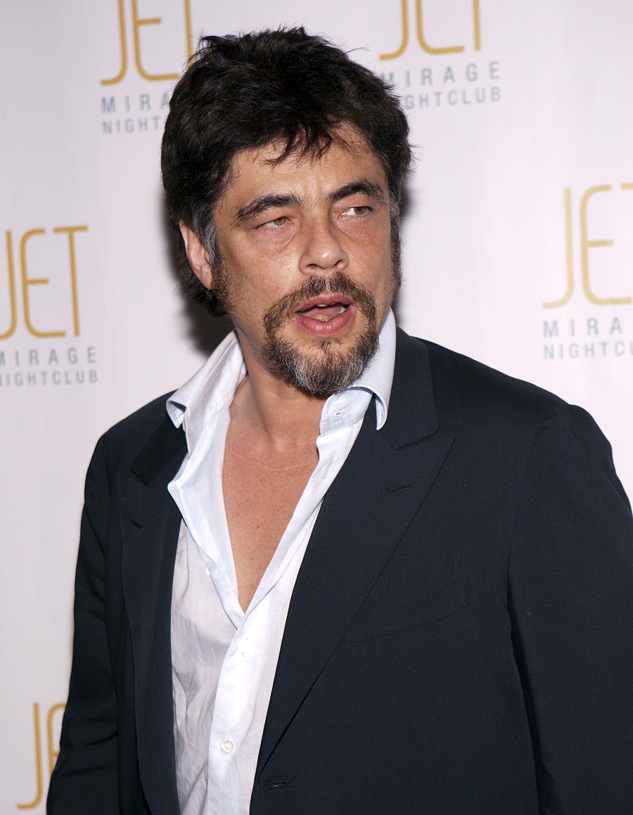 Random Pictures of Benicio Del